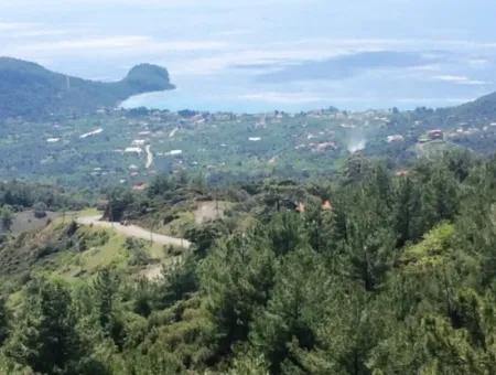 Grundstück Zu Verkaufen Mit Meerblick Mit 52000M2 Parzelle In Mugla Provinz Datca Bezirk Masoudye Nachbarschaft