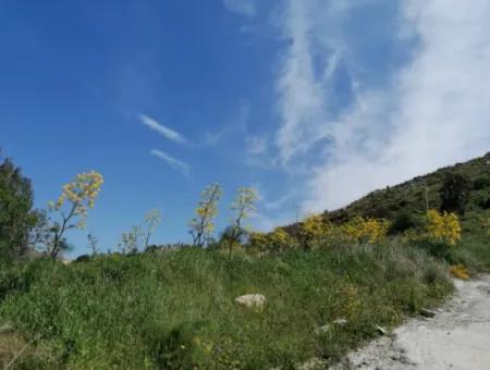 Grundstück Zu Verkaufen Mit 4000M2 Touristischen Entwicklung Am Meer In Bodrum Akyarlar