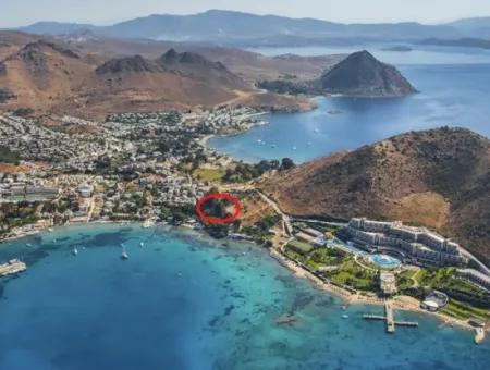 Grundstück Zu Verkaufen Mit 4000M2 Touristischen Entwicklung Am Meer In Bodrum Akyarlar