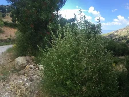 Akbuk, Mugla Province, County And Neighborhood Of The House In A Plot Of 3500 M2 In Zeytinkoy 2 Current Land Plot For Sale