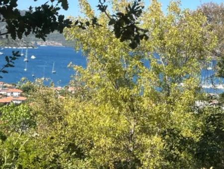 Land For Sale In Marmaris Selimiye Neighborhood With Sea View 5200M2 Suitable For The Construction Of 2 Villas Or Hotel Construction