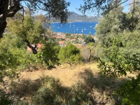 Land For Sale In Marmaris Selimiye Neighborhood With Sea View 5200M2 Suitable For The Construction Of 2 Villas Or Hotel Construction