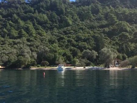 The Land For Sale From Marmaris Near The Sea Plot Hotels,Marina,Yacht Club Land 4000 M2