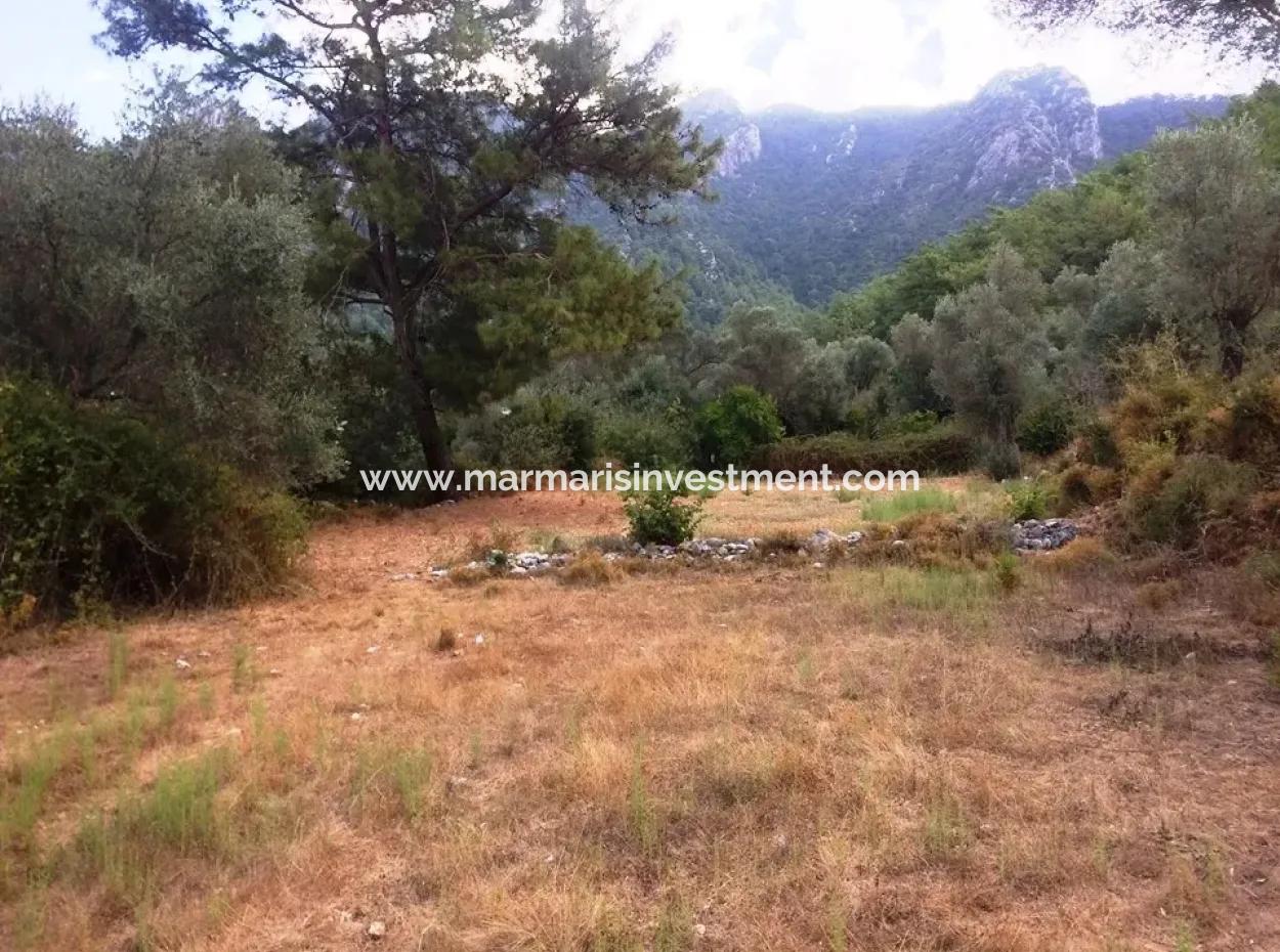 Marmaris İlçesi Orhaniye Mahallesi 400 M2 Tarla Satılık