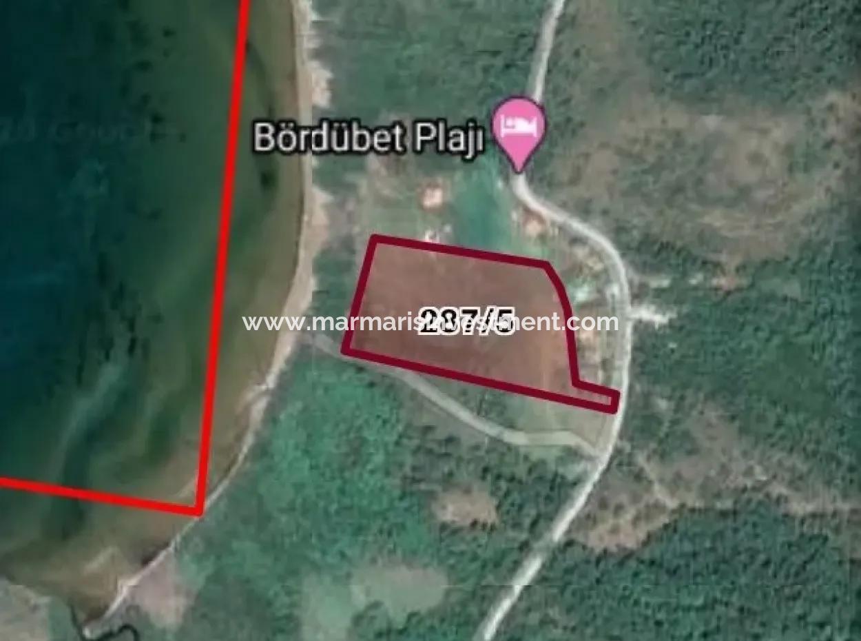 Marmaris Bördübet Koyunda Denize Sıfır Kitesurf Alanı 13000M2 Arsamız Satılıktır.