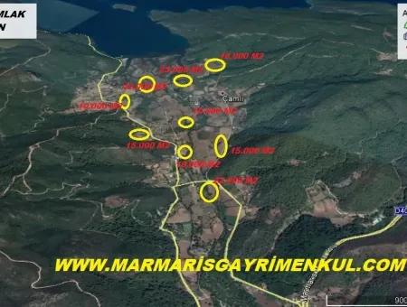 Marmaris Çamlı Köyünde 25.000 M2 Satılık Çok Acil Arsa