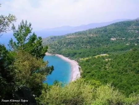 Datça Merkezinden 60 Km Uzaklıkta Satılık 100000M2 Arsa Üzerine Kurulu Tatil Köyü